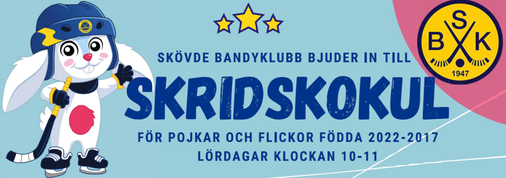 Skridskokul